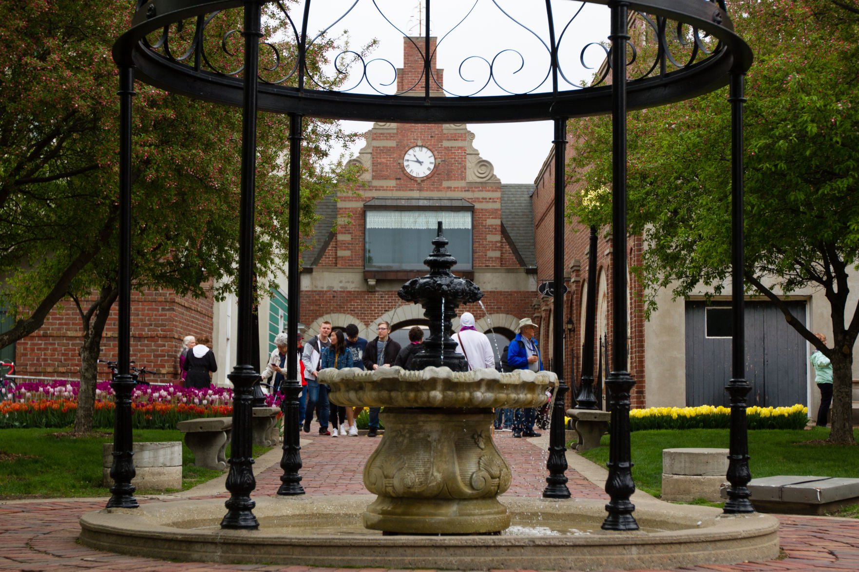 84th ANNUAL TULIP TIME